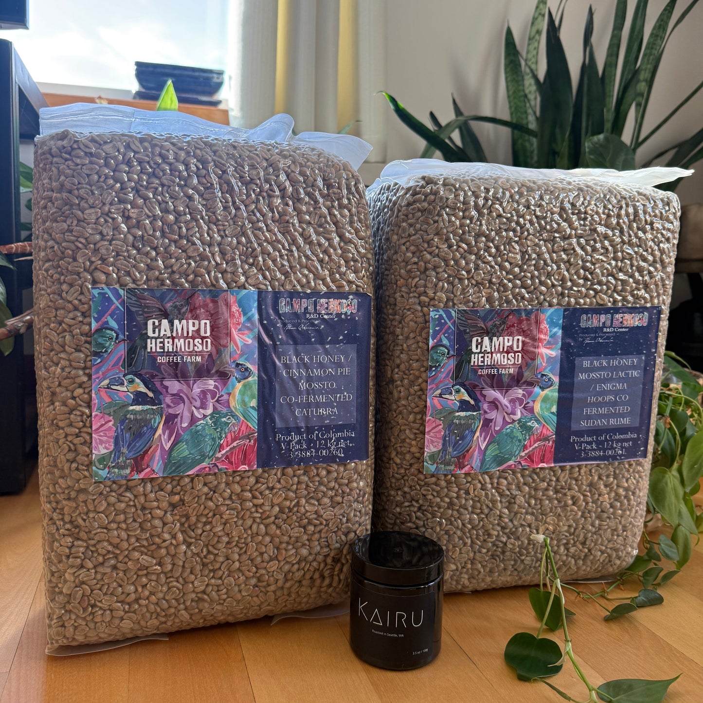 Colombia Whiteout - Light Roast (Limited Offering)