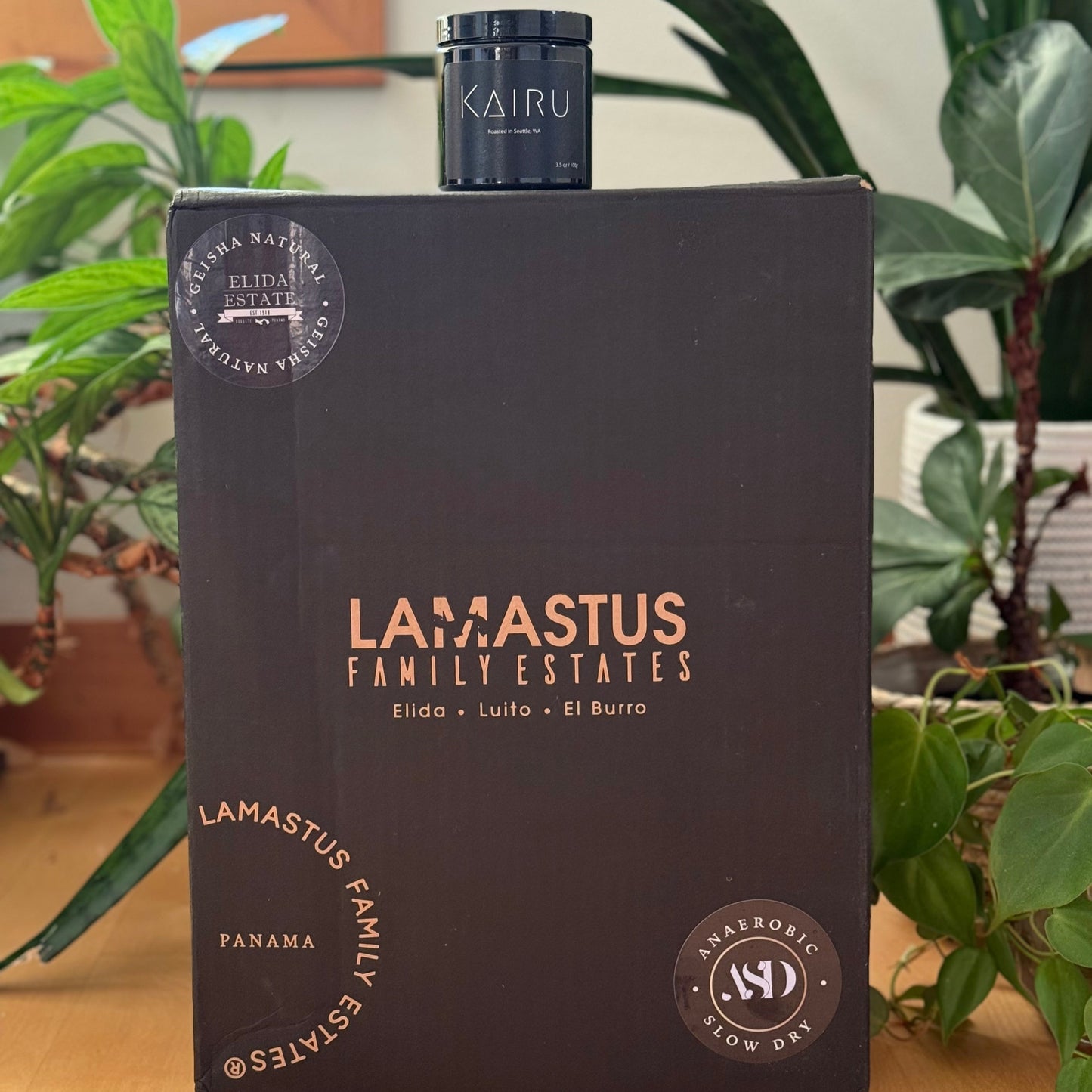 Kairu's Panama Slackcountry - Light Roast (Limited Offering)